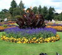 The Royal Botanic Gardens, Kew